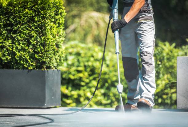 Best Factory Floor Cleaning  in Greenfield, MO
